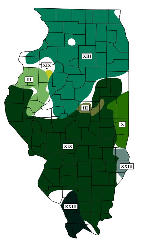 Cicadas 2024 Illinois Map - Dede Katherine