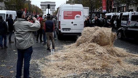 Farmers protest in French cities over falling prices