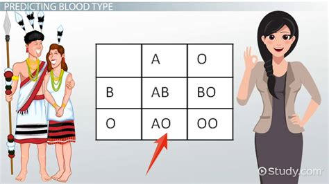 Probability Genetics Definition