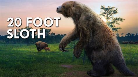 How Tall Are Giant Ground Sloths? The 11 Top Answers - Chiangmaiplaces.net