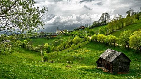 HD wallpaper: countryside, rural, cattle, pasture, tree, ditch, landscape | Wallpaper Flare