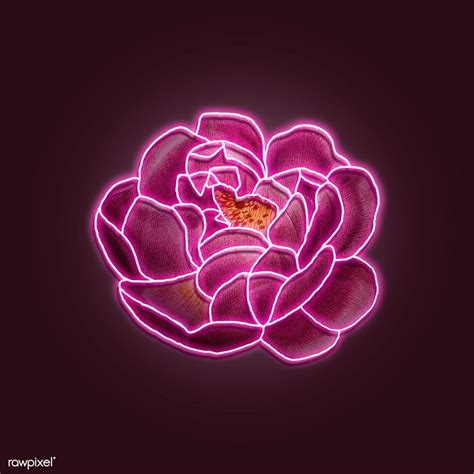 Neon Pink Flower Wallpapers - Top Free Neon Pink Flower Backgrounds - WallpaperAccess