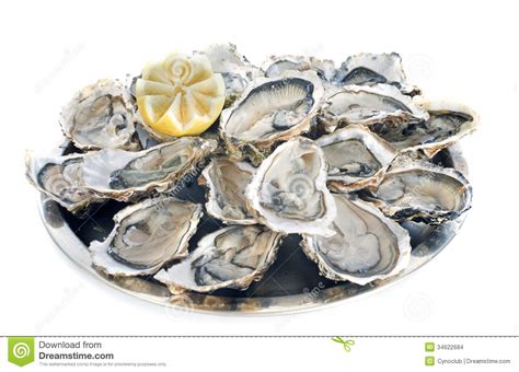 Oysters clipart - Clipground