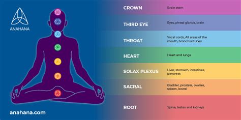 Os Sete Chakras E Seus Significados Ilustração Stock, 55% OFF