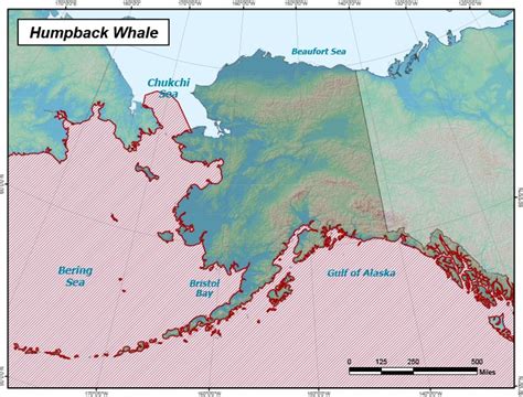 Humpback Whale Range Map, Alaska Department of Fish and Game