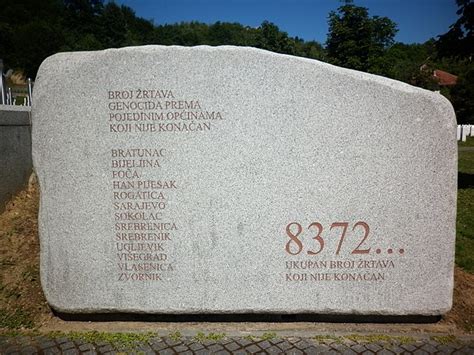 Bosnian genocide - Wikipedia