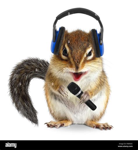 Funny chipmunk dj with headphone and microphone Stock Photo - Alamy