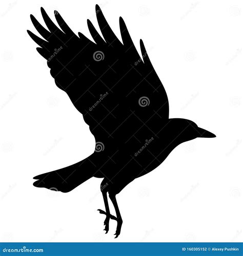 Raven silhouette 007 stock vector. Illustration of icon - 160305152