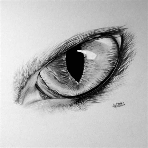 Realistic Cat Eye Drawing by LethalChris | Esbozo de lobo, Ojos de gatos dibujos, Dibujo de lobos