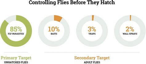 Why Are Fly Parasites so Effective? - Goodbugs