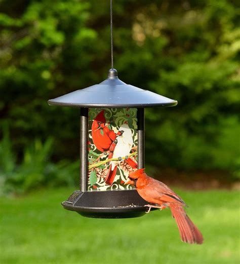 Cardinal Solar Bird Feeder | Bird Feeders | Delightful day or night ...