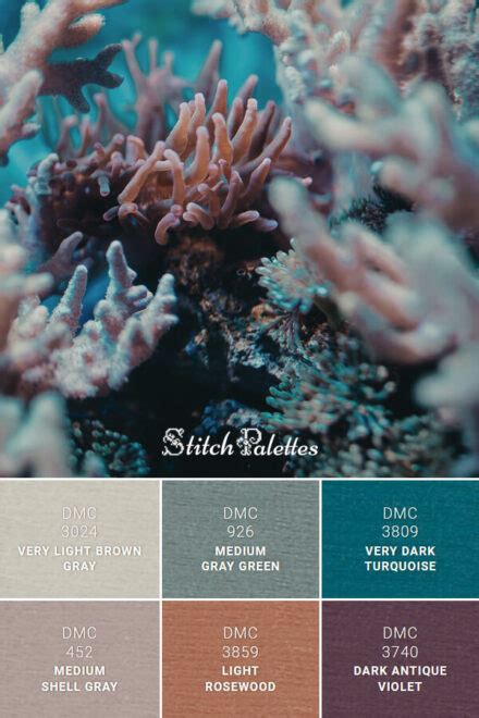 Coral Reef Colors - Embroidery Color Palette (With Thread Codes)