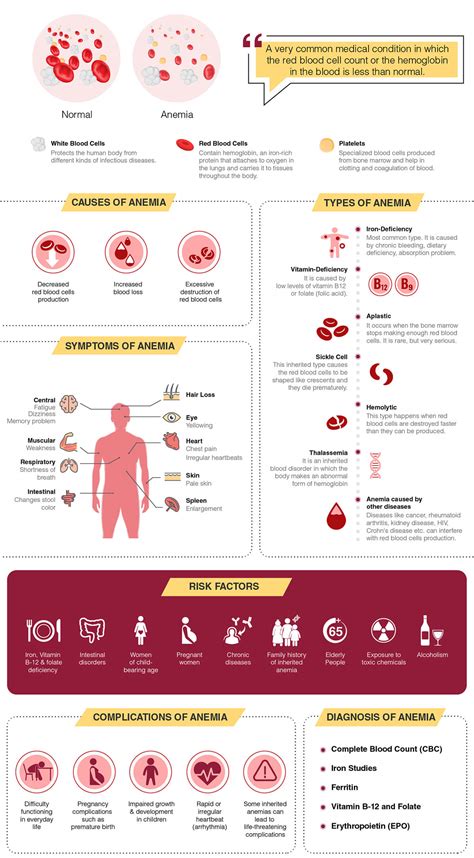 Anemia types Archives - Eremedium