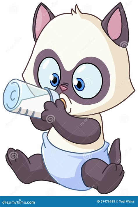 Baby kitten stock vector. Illustration of bottle, food - 51476985