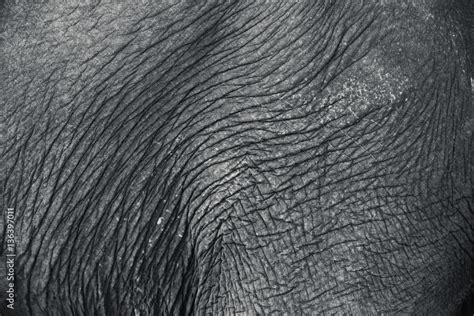 Elephant Skin Texture