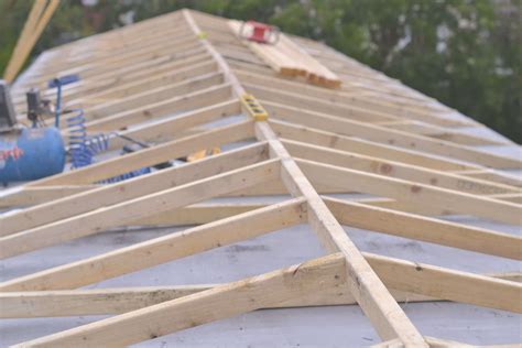 Gable Shed Roof Framing ~ shed making plans