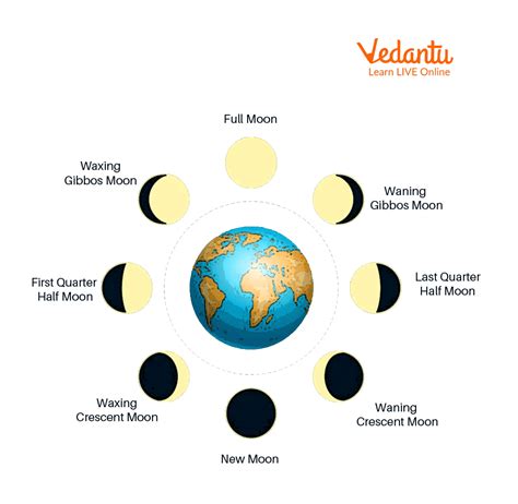 Phases Of The Moon Diagram For Kids