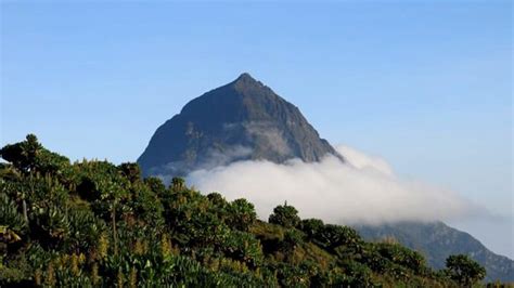 2 Days Mount Karisimbi Hike | Rwanda hiking safari