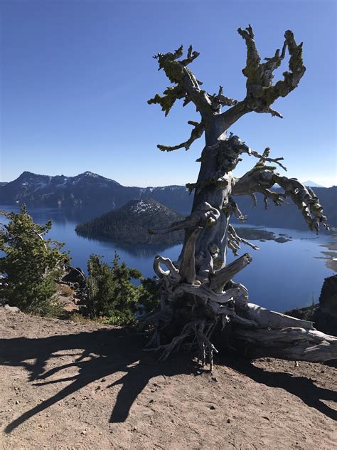 Wizard Island - Crater Lake, OR : r/hiking