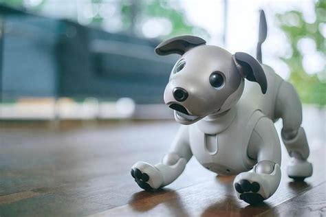 Sony has just announced a new Aibo robotic pooch and it’s only for Japan