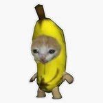 banana cat Meme Generator - Imgflip