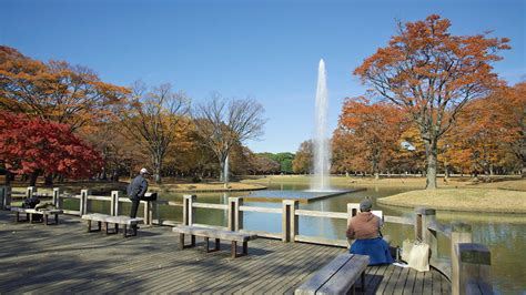 9 best parks and grand green spaces to enjoy in Tokyo