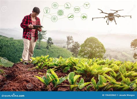 Smart Farmer Using Technology Control Agriculture Drone Farming Fly To Spray Fertilizer or ...