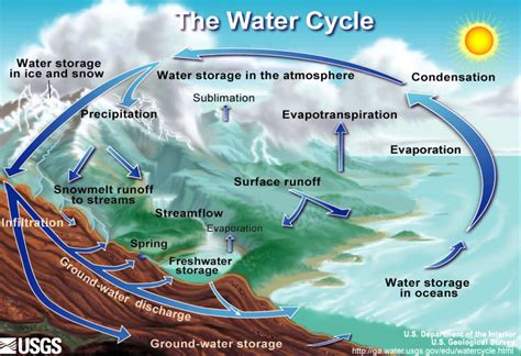 What Are the Steps of the Water Cycle? - Owlcation