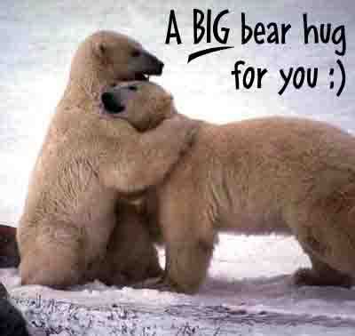 Funny bear hug |Funny Animal