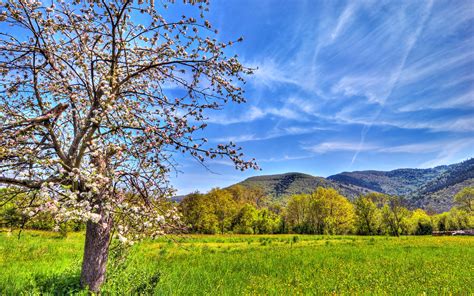 🔥 [40+] Spring Landscape Wallpapers | WallpaperSafari