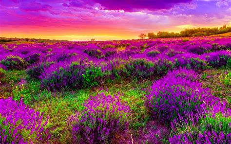 Spring Landscape Wallpapers - Top Free Spring Landscape Backgrounds - WallpaperAccess