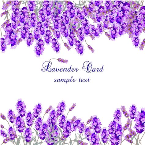 Free Vector | Lavender card template