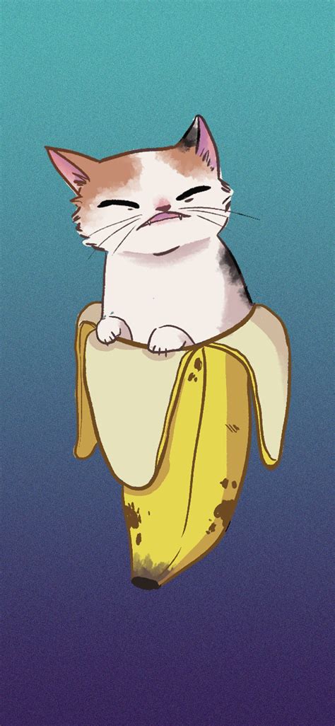 Banana Cat Wallpapers - 4k, HD Banana Cat Backgrounds on WallpaperBat