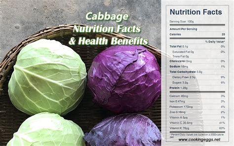 Cabbage Nutrition Facts & Health Benefits - CookingEggs