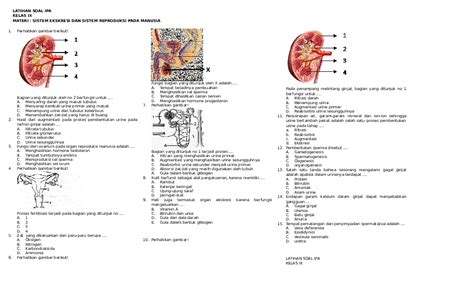 Latihan Soal Sistem Ekskresi Doc - Pendidik Siswa