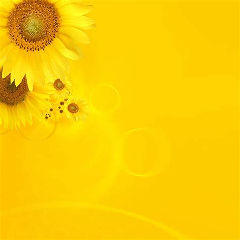 Yellow iPad Wallpapers - Top Free Yellow iPad Backgrounds - WallpaperAccess