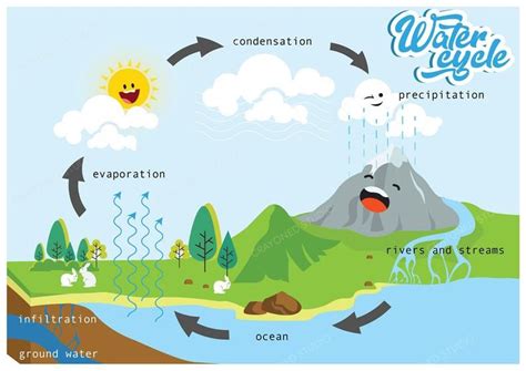 Water Cycle Poster, Science Poster, Educational Poster, Wall Decor ...