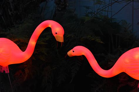 Pink Flamingo Lights Set of 2 for Garden or Yard Outdoor | Etsy