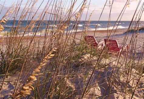 Amelia Island State Park | Florida State Parks