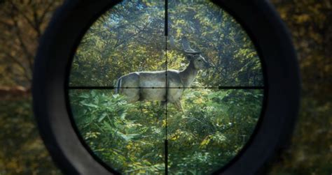 The Hunter: Call of the Wild - Where to Shoot?