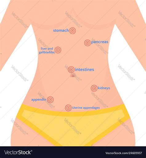 Types abdominal pain in women location pain Vector Image