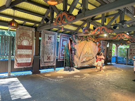 PHOTOS, VIDEO: Moana Meet and Greet Debuts at Disney's Animal Kingdom ...