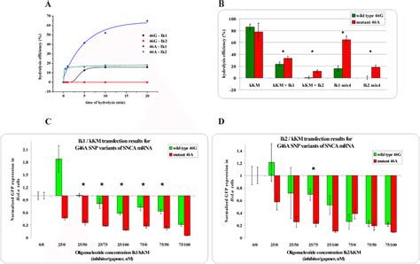 The RNase H assay results for G46A SNP within SNCA mRNA. (A) kinetics... | Download Scientific ...