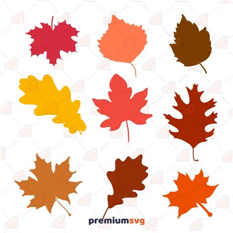 Art & Collectibles Clip Art autumnal leaves svg files autumn leaves svg clipart leaves clipart ...