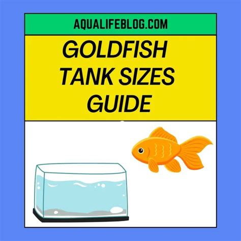 Tank Sizes For Goldfish: Goldfish Tank Size Guide - Aqualife