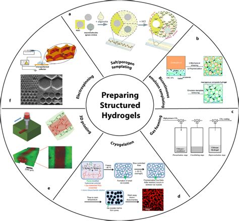 6: Conventional methods of preparing structured hydrogels: (a ...