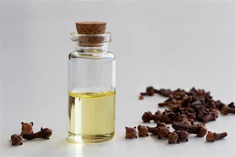 Clove Oil for Toothache Pain | Oral Care