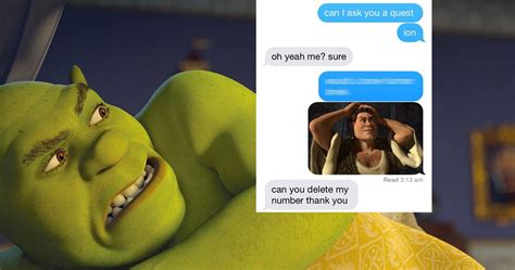 The Most Hilarious Shrek Memes The Internet Has Given Us