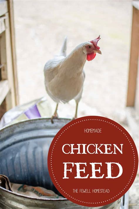 How to Make Homemade Chicken Feed - Amy K. Fewell