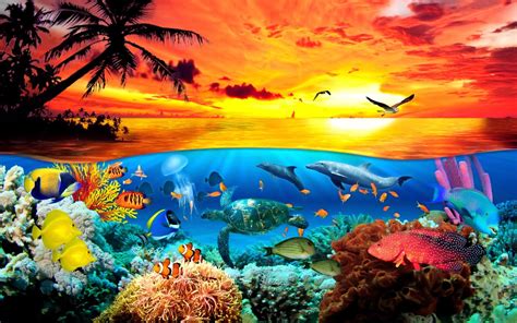 Sea Creatures Wallpapers - Top Free Sea Creatures Backgrounds - WallpaperAccess